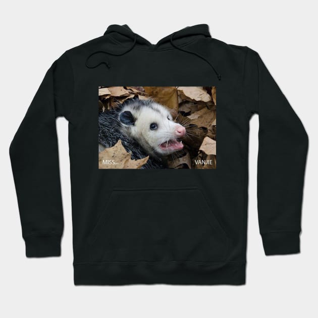 Vanjie Possum Hoodie by unfriended